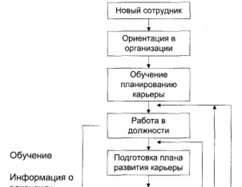 Статья о планировании и развитии карьеры. Реферат: Планирование и развитие карьеры в современной организации. Управление карьерой
 в современном
 HR-менеджменте