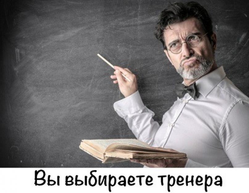 Копирайтинг школа волкодавы. Выбираем курсы и тренинги по копирайтингу. Куда пойти учиться? Начало знакомства и причина обращения в Школу