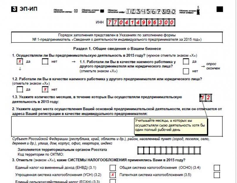 Как заполнять форму 1 ип услуги образец. Законодательная база российской федерации. Заполнение титульного листа