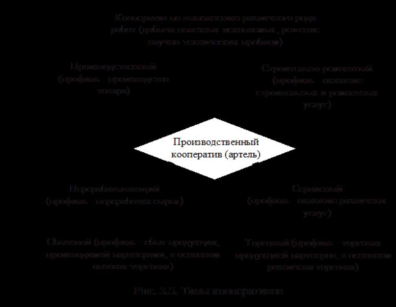 Коммерческие организации как субъекты хозяйственного права. Субъекты предпринимательской деятельности Организации как субъекты коммерческой деятельности